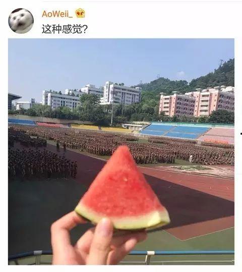 吃瓜校友小说,校园风云录