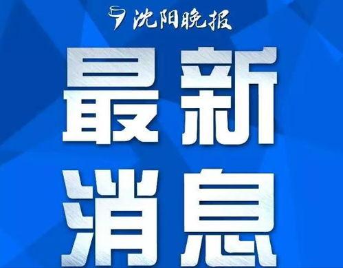 头条热点小故事怎么写,揭秘日常生活中的感人瞬间