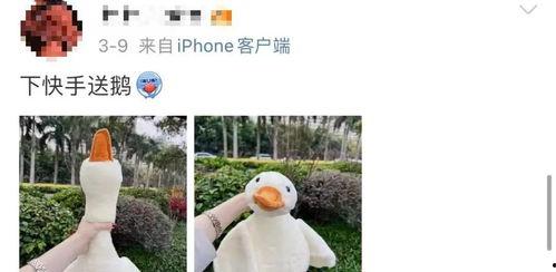 网红鹅帽子,潮流新宠，时尚界的“鹅”起之作