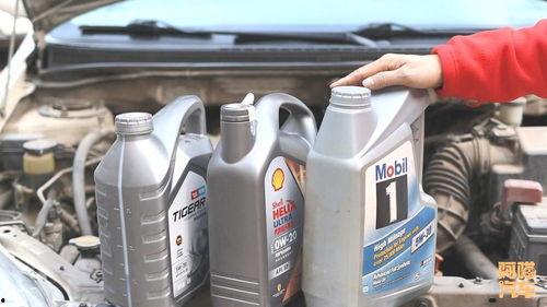 头条哪里有卖机油的,哪里购买更便捷？