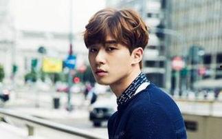 韩剧人气男明星,揭秘韩剧人气男明星的闪耀之路