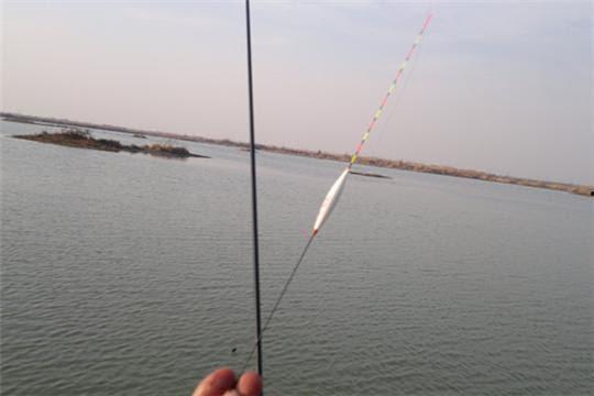 钓鱼看漂 游戏 窝料,解锁窝料奥秘，尽享垂钓乐趣