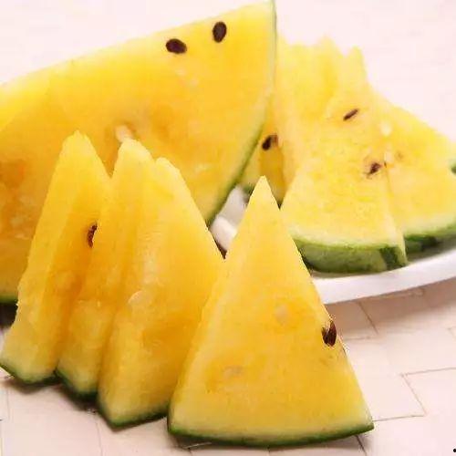 吃网文瓜有什么好