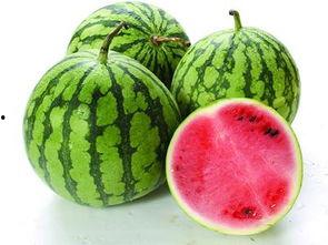 吃瓜不吃冬瓜花,揭秘“吃瓜不吃冬瓜花”的神秘传说