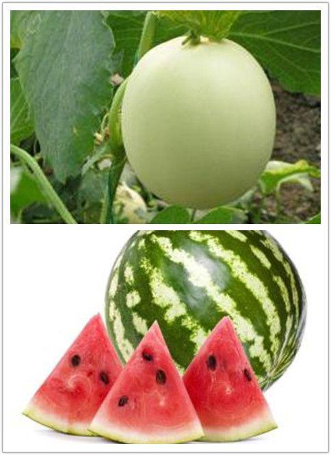 欣欣带你娱乐吃瓜