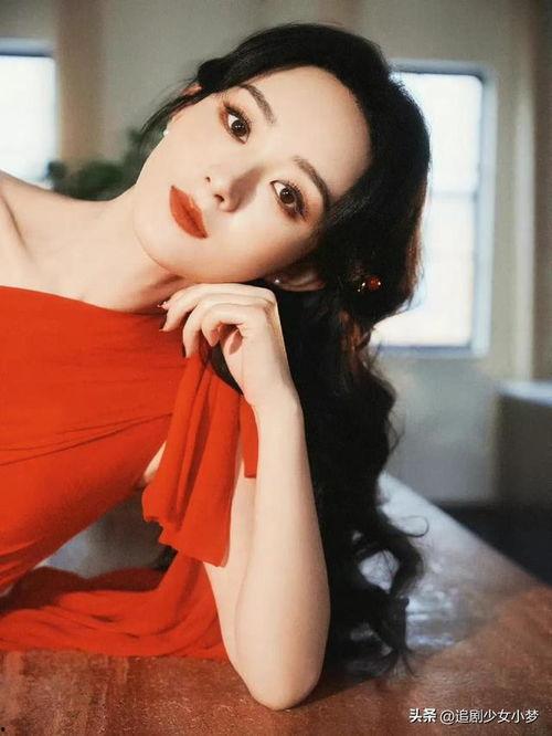 娱乐圈爆料顶流女星,揭秘顶流女星背后的惊人爆料