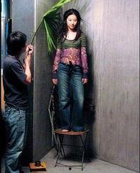 明星 拍照 垫,揭秘拍照垫的神奇魅力