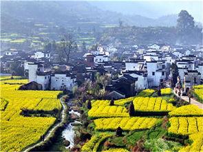 婺源网红老年团在哪里,夕阳下的古镇风情之旅