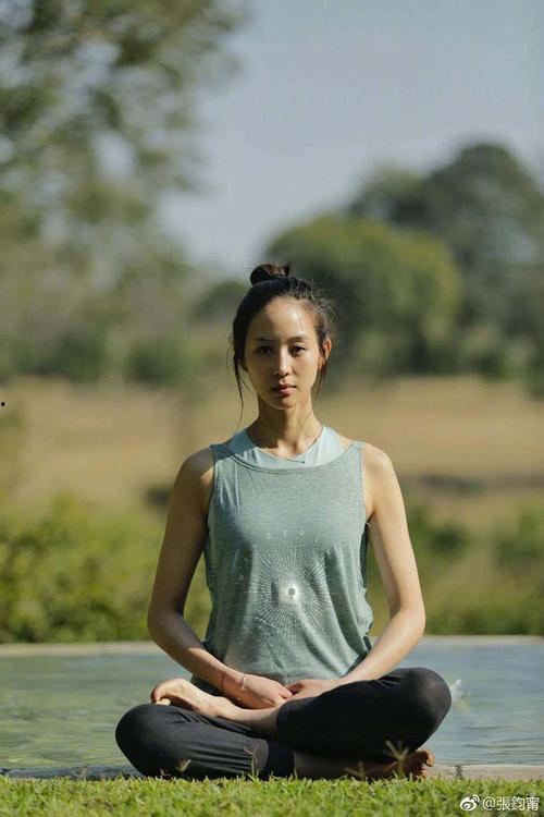 冥想的明星,揭秘名人的心灵修炼之道